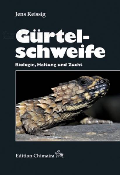 Gürtelschweife - Biologie, Haltung und Zucht